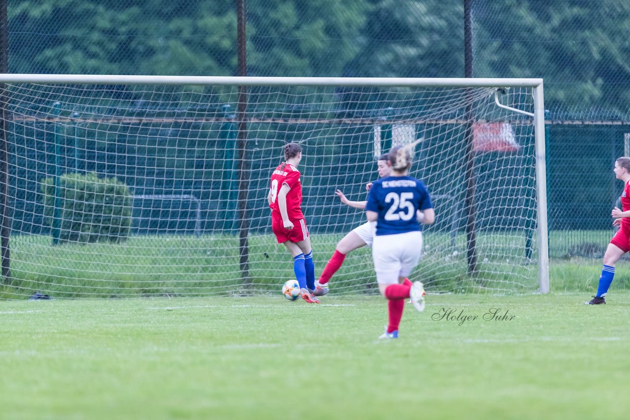 Bild 51 - F Hamburger SV 3 - Nienstedten 1 : Ergebnis: 6:1